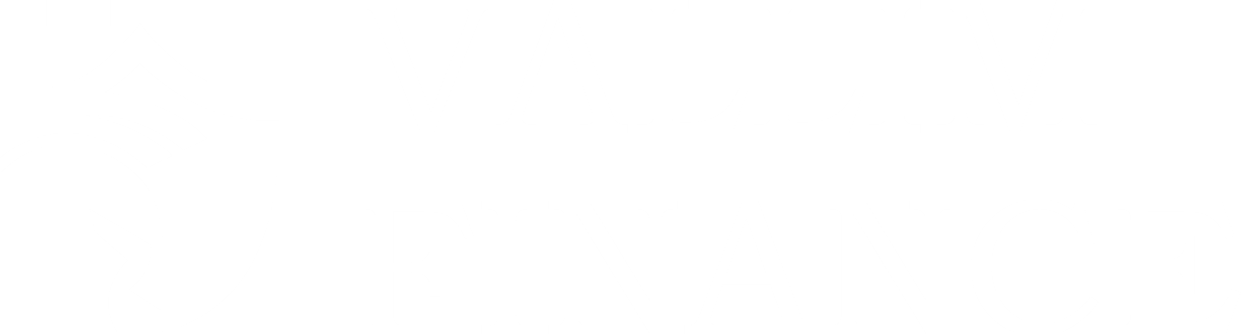 Vallim Finance